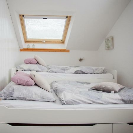 Apartamento Wohlfühloase am Bikepark und Skigebiet, 2 Schlafzimmer, abschließbarer Fahrradkeller Winterberg Exterior foto
