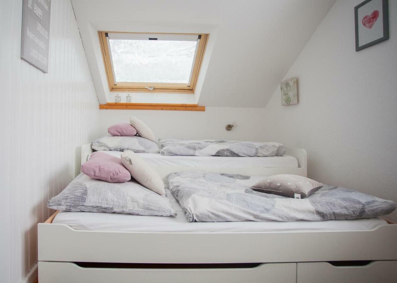 Apartamento Wohlfühloase am Bikepark und Skigebiet, 2 Schlafzimmer, abschließbarer Fahrradkeller Winterberg Exterior foto
