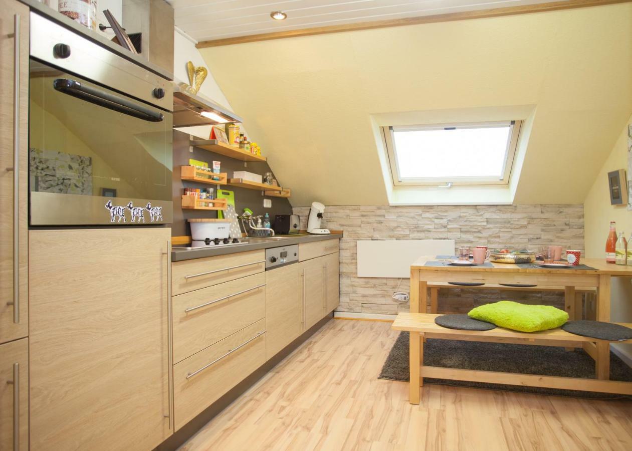 Apartamento Wohlfühloase am Bikepark und Skigebiet, 2 Schlafzimmer, abschließbarer Fahrradkeller Winterberg Exterior foto