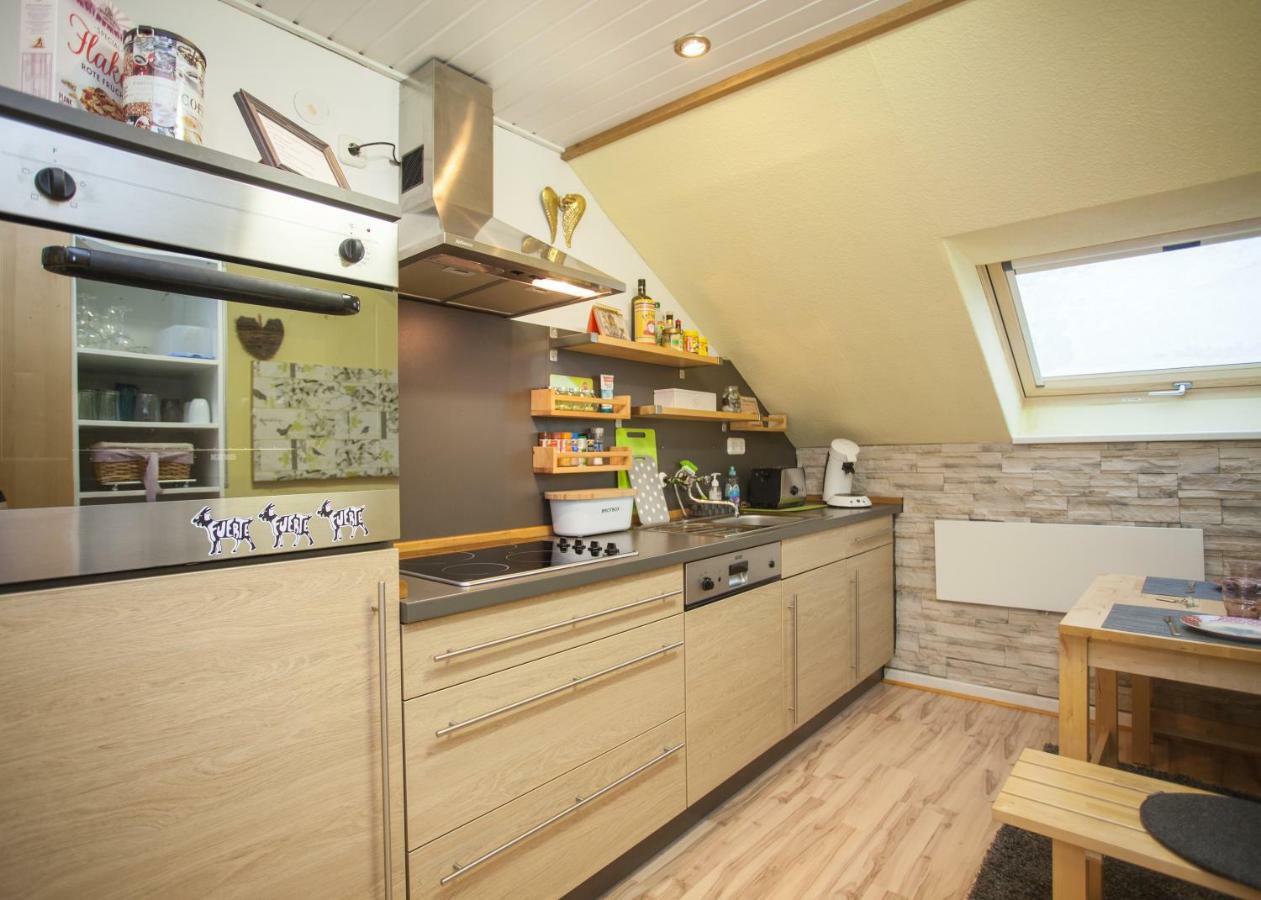 Apartamento Wohlfühloase am Bikepark und Skigebiet, 2 Schlafzimmer, abschließbarer Fahrradkeller Winterberg Exterior foto